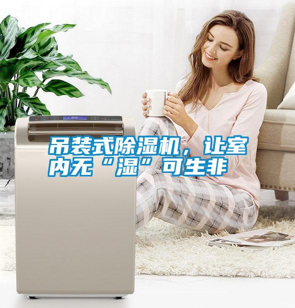 吊裝式除濕機，讓室內(nèi)無“濕”可生非