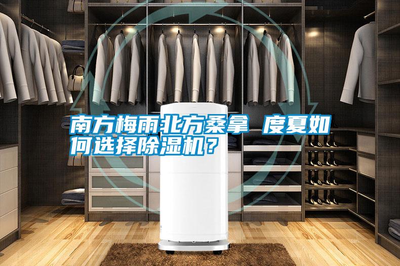 南方梅雨北方桑拿 度夏如何選擇除濕機(jī)？
