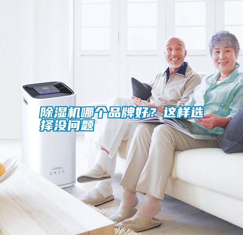 除濕機(jī)哪個(gè)品牌好？這樣選擇沒(méi)問(wèn)題