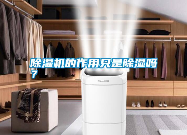 除濕機(jī)的作用只是除濕嗎？