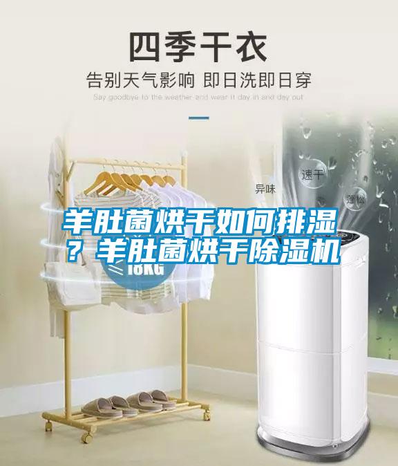 羊肚菌烘干如何排濕？羊肚菌烘干除濕機