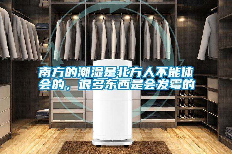 南方的潮濕是北方人不能體會的，很多東西是會發(fā)霉的
