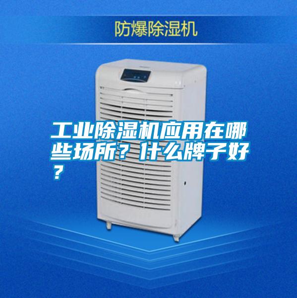 工業(yè)除濕機(jī)應(yīng)用在哪些場所？什么牌子好？