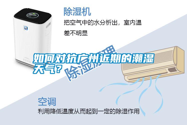 如何對抗廣州近期的潮濕天氣？