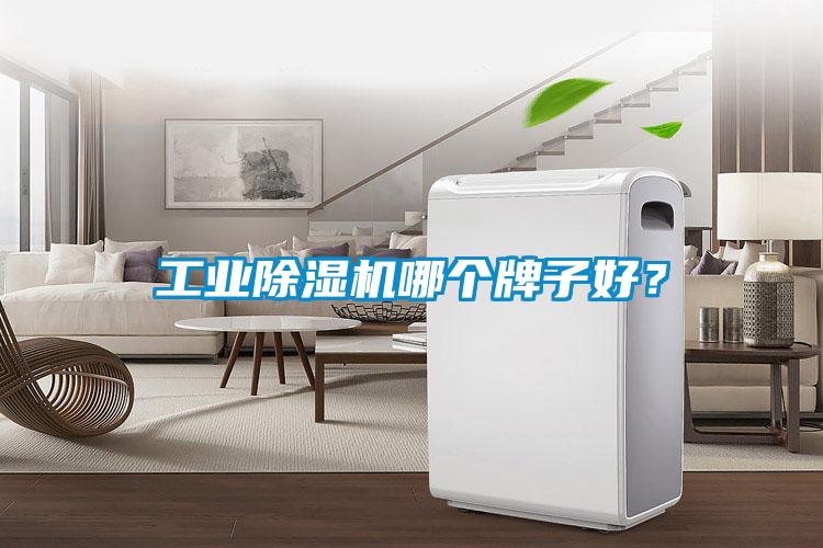 工業(yè)除濕機哪個牌子好？