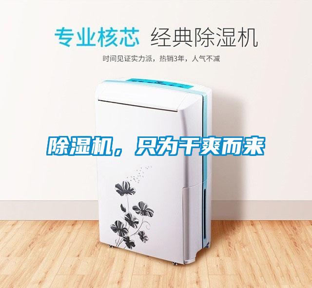 除濕機，只為干爽而來