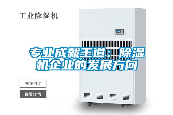 專(zhuān)業(yè)成就王道：除濕機(jī)企業(yè)的發(fā)展方向