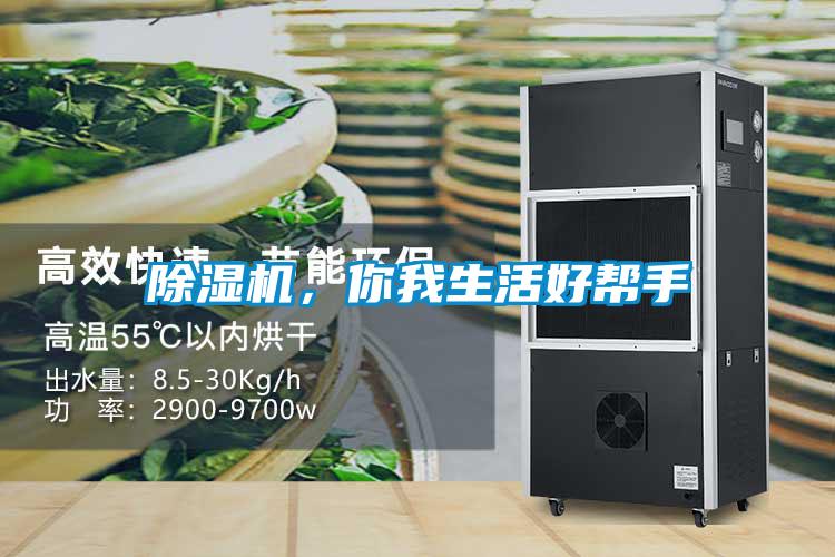 除濕機，你我生活好幫手