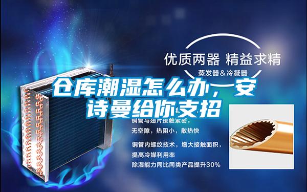 倉庫潮濕怎么辦，安詩曼給你支招