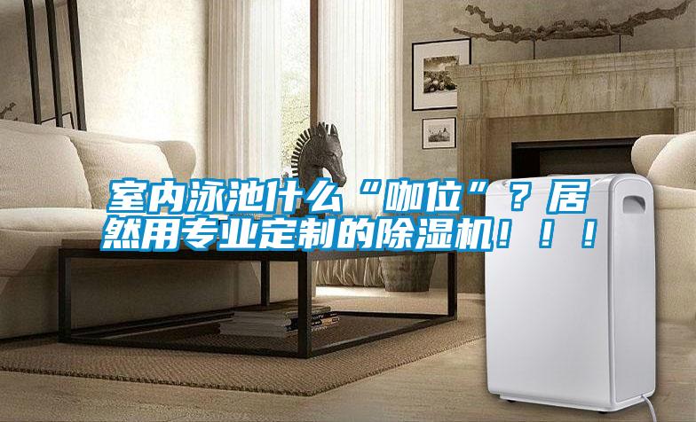 室內泳池什么“咖位”？居然用專業定制的除濕機！！！