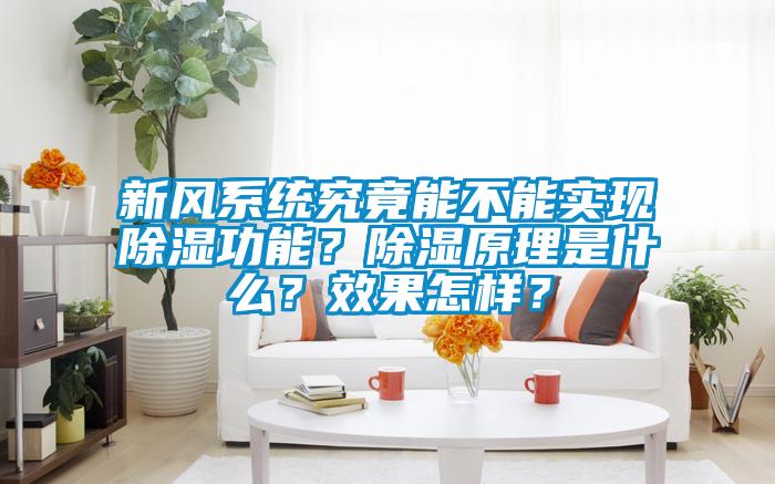 新風(fēng)系統(tǒng)究竟能不能實(shí)現(xiàn)除濕功能？除濕原理是什么？效果怎樣？