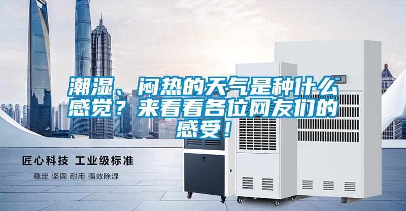 潮濕、悶熱的天氣是種什么感覺？來看看各位網(wǎng)友們的感受！