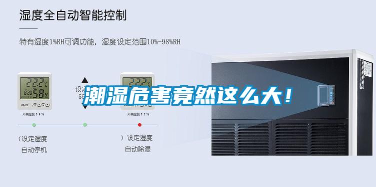 潮濕危害竟然這么大！