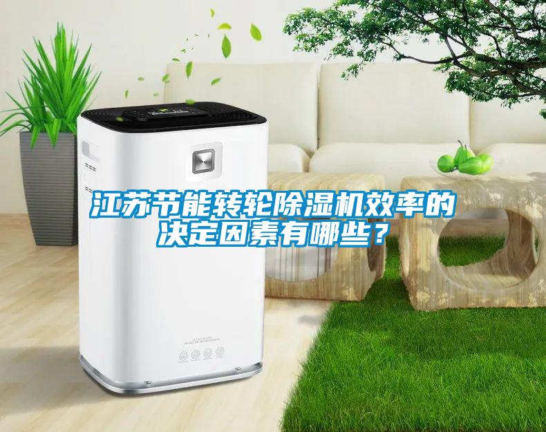 江蘇節(jié)能轉(zhuǎn)輪除濕機效率的決定因素有哪些？