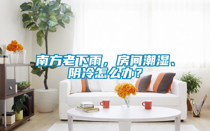 南方老下雨，房間潮濕、陰冷怎么辦？
