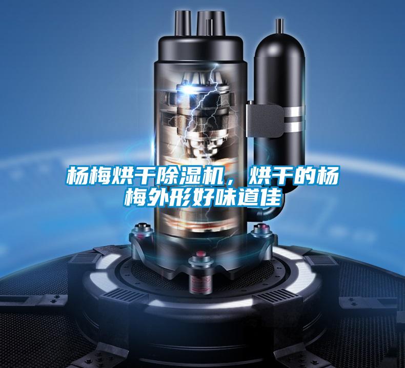 楊梅烘干除濕機，烘干的楊梅外形好味道佳