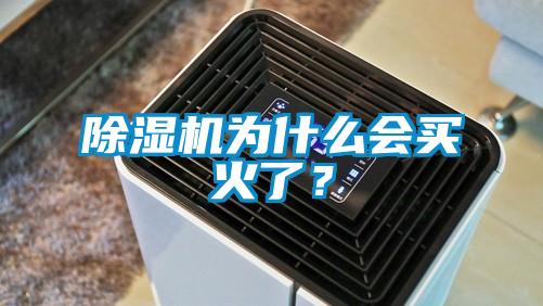 除濕機為什么會買火了？