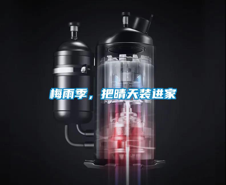 梅雨季，把晴天裝進家