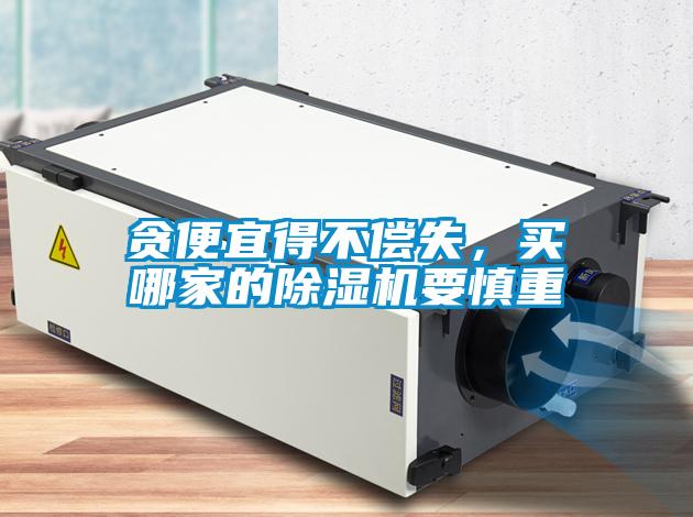 貪便宜得不償失，買哪家的除濕機要慎重