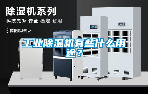 工業除濕機有些什么用途？