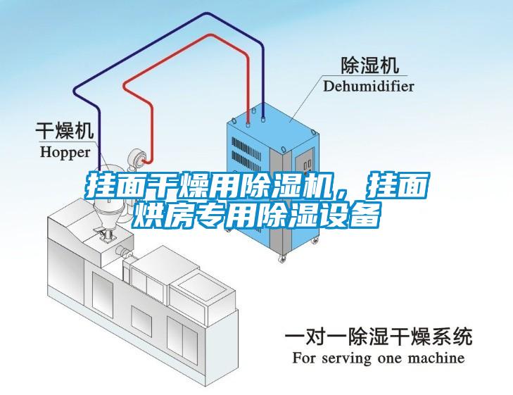 掛面干燥用除濕機(jī)，掛面烘房專(zhuān)用除濕設(shè)備