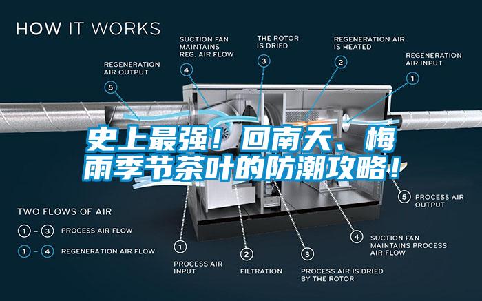 史上最強！回南天、梅雨季節茶葉的防潮攻略！