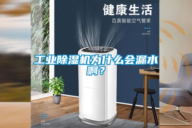 工業(yè)除濕機為什么會漏水啊？