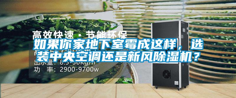 如果你家地下室霉成這樣，選裝中央空調(diào)還是新風除濕機？