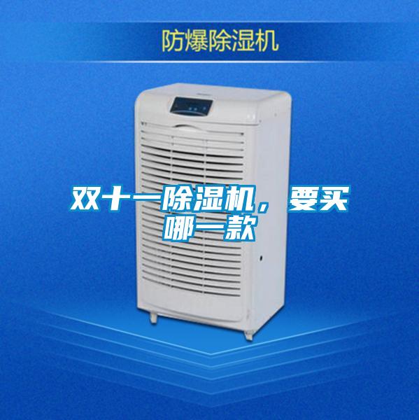 雙十一除濕機(jī)，要買哪一款