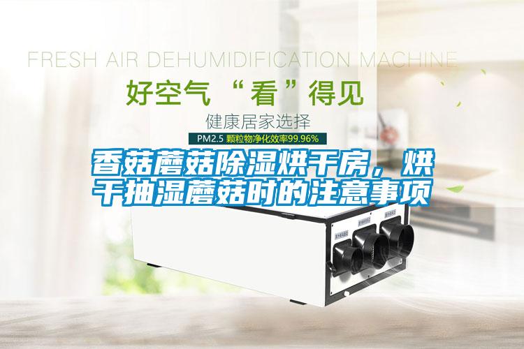 香菇蘑菇除濕烘干房，烘干抽濕蘑菇時的注意事項