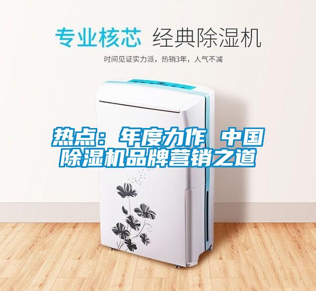 熱點(diǎn)：年度力作 中國(guó)除濕機(jī)品牌營(yíng)銷之道