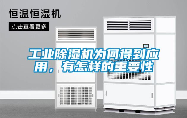 工業(yè)除濕機(jī)為何得到應(yīng)用，有怎樣的重要性