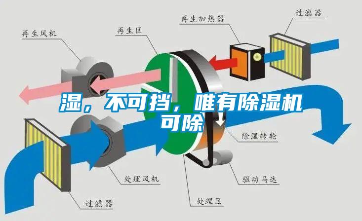 濕，不可擋，唯有除濕機(jī)可除