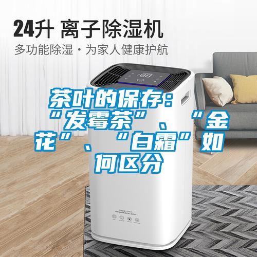 茶葉的保存：“發(fā)霉茶”、“金花”、“白霜”如何區(qū)分