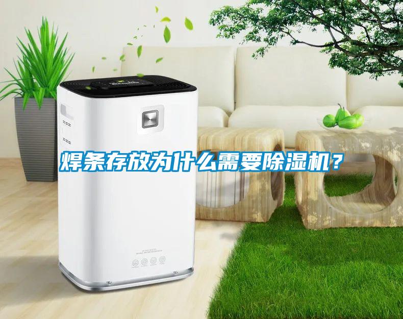 焊條存放為什么需要除濕機？