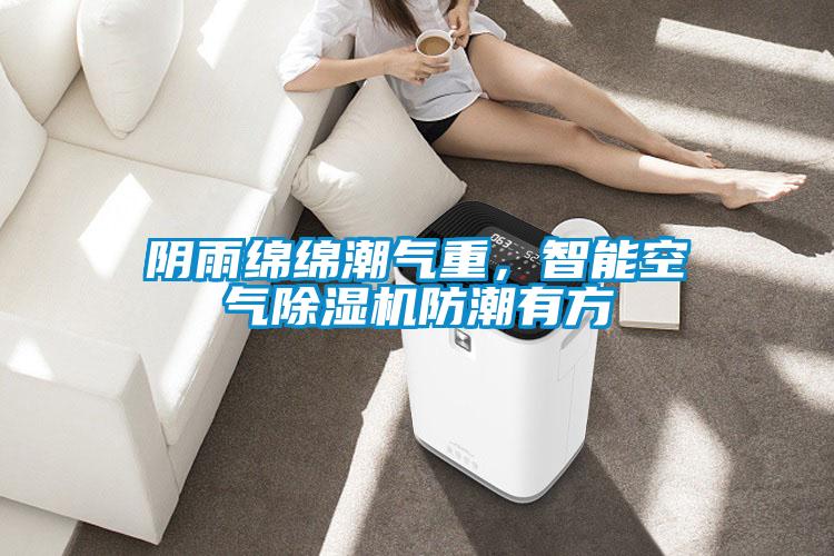 陰雨綿綿潮氣重，智能空氣除濕機(jī)防潮有方