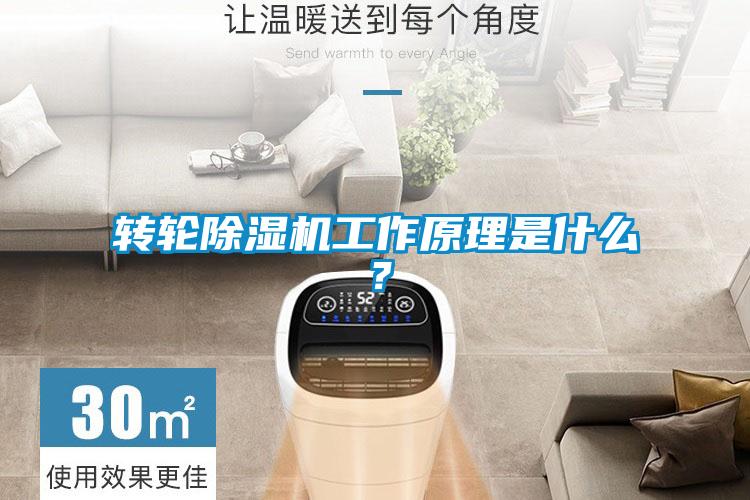 轉輪除濕機工作原理是什么？