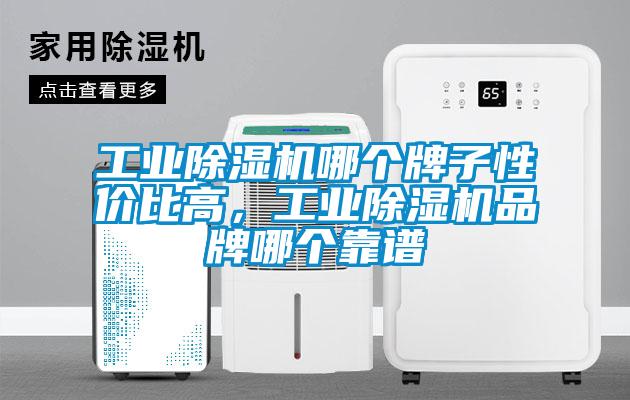 工業(yè)除濕機哪個牌子性價比高，工業(yè)除濕機品牌哪個靠譜