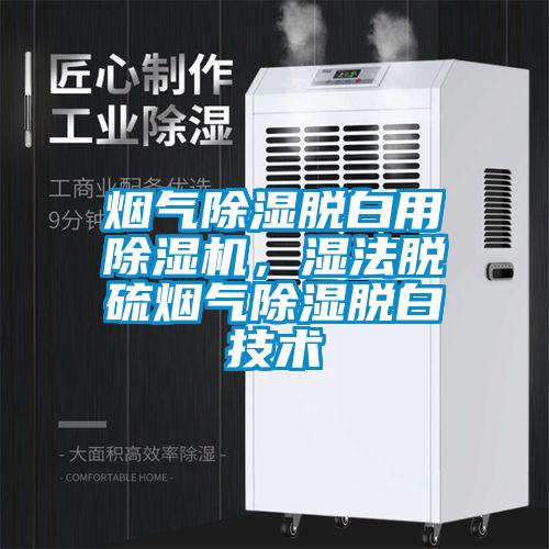 煙氣除濕脫白用除濕機，濕法脫硫煙氣除濕脫白技術