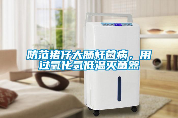 防范豬仔大腸桿菌病，用過氧化氫低溫滅菌器