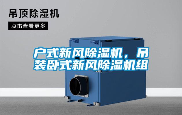 戶式新風除濕機，吊裝臥式新風除濕機組