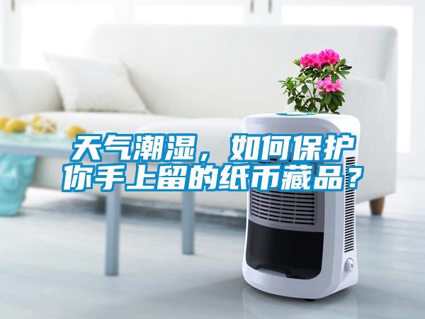 天氣潮濕，如何保護你手上留的紙幣藏品？