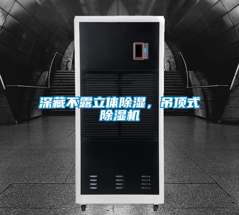 深藏不露立體除濕，吊頂式除濕機