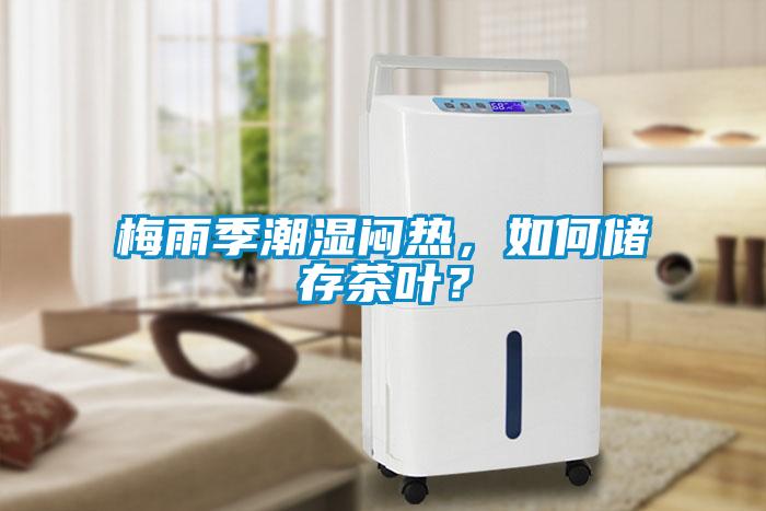 梅雨季潮濕悶熱，如何儲(chǔ)存茶葉？