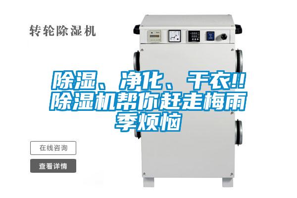 除濕、凈化、干衣!!除濕機(jī)幫你趕走梅雨季煩惱