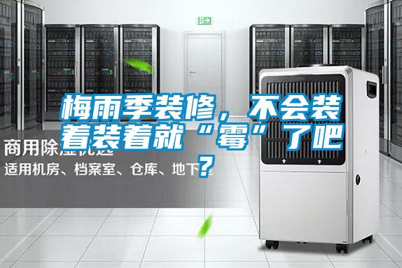 梅雨季裝修，不會裝著裝著就“霉”了吧？