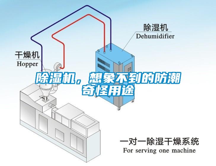 除濕機，想象不到的防潮奇怪用途