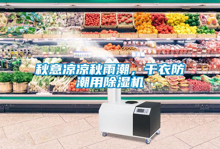 秋意涼涼秋雨潮，干衣防潮用除濕機