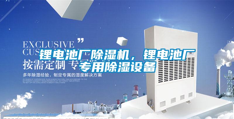 鋰電池廠除濕機(jī)，鋰電池廠專用除濕設(shè)備