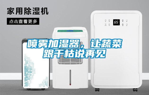 噴霧加濕器，讓蔬菜跟干枯說再見